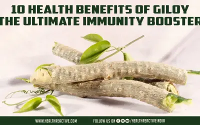 10 Health Benefits of Giloy the Ultimate Immunity Booster