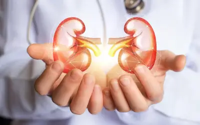 8 Tips to Keep Your Kidney Healthy Forever