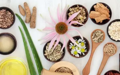 Home Remedies for Piles