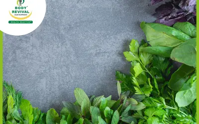 Top 10 Leaves Name List Used As Medicine Leaves In Ayurveda