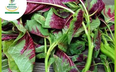 Top 10 Health Benefits Of Eating Amaranth Leaves