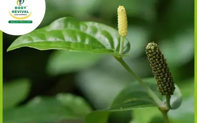 Pippali Churna Benefits, Uses For Weight Loss & Side Effects