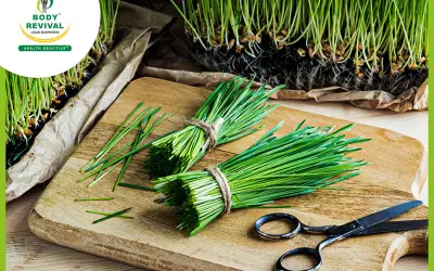 Is Wheatgrass Good for You?