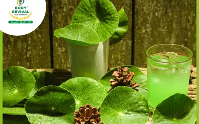 Ayurvedic Herb Brahmi (Bacopa Monnieri) Uses, Benefits, Side Effects