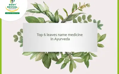 Top 6 Leaves Name Medicine In Ayurveda