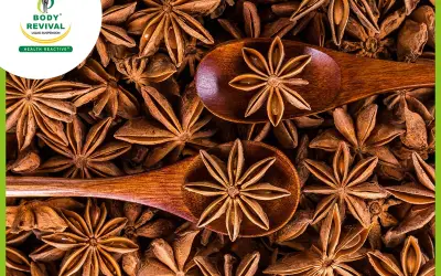 Star Anise: Benefits and Nutritional Facts