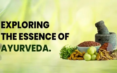 Exploring the Essence of Ayurveda - Health Reactive