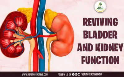 Ayurveda: A Natural Approach to Reviving Bladder and Kidney Function
