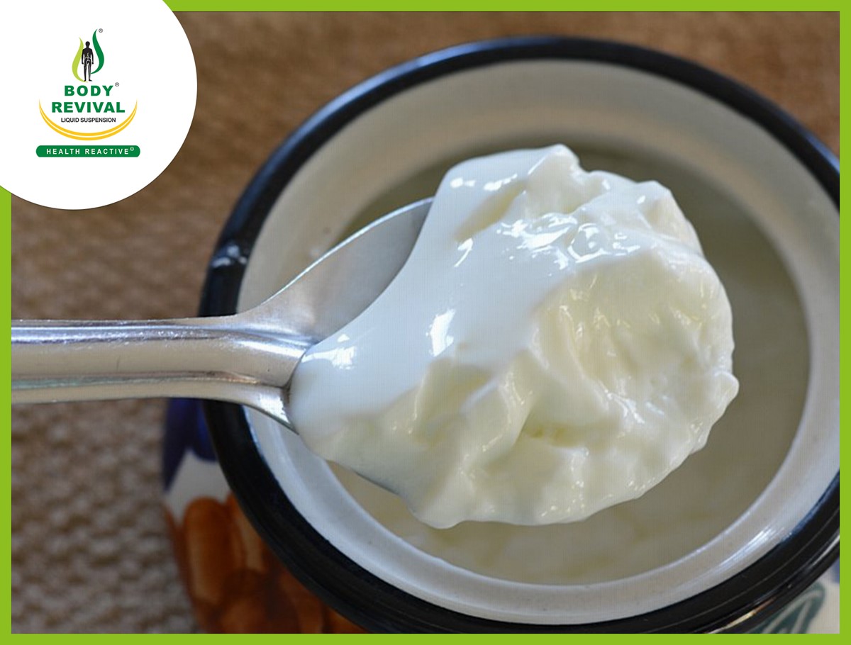 Top 10 Health Benefits & Uses of Yogurt (Curd/Dahi) Health Reactive Body Revival