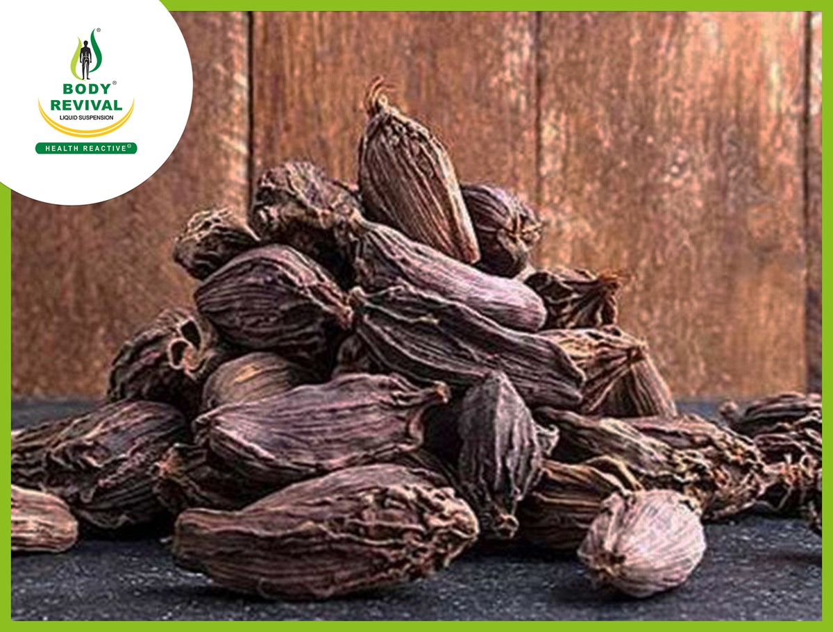 Black Cardamom (Badi Elaichi) Health Benefits & Side Effects Health