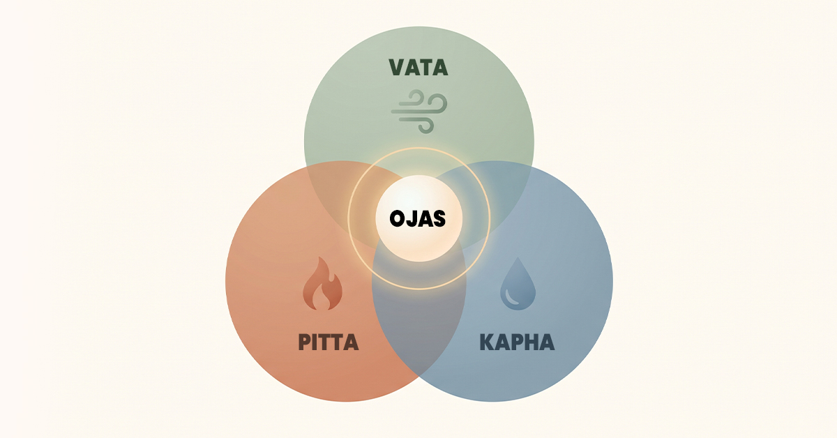 Infographic showing how Ayurveda addresses cancer through doshic balance, detox, and immunity