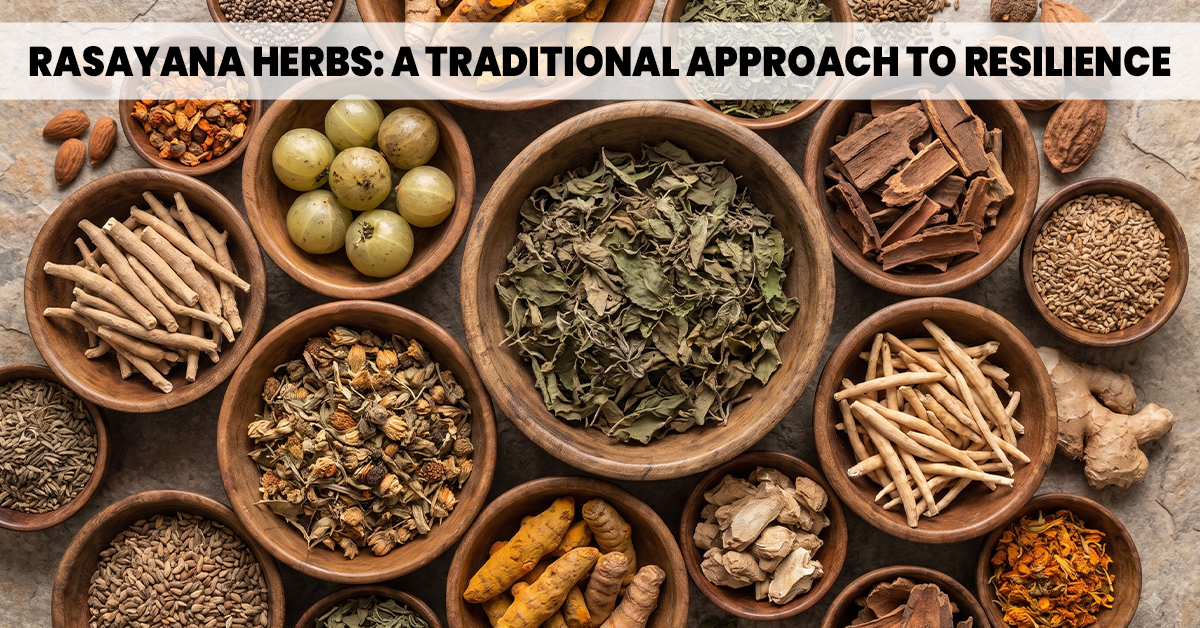 Assortment of classical Ayurvedic herbs used as adjuvant support in integrative cancer care