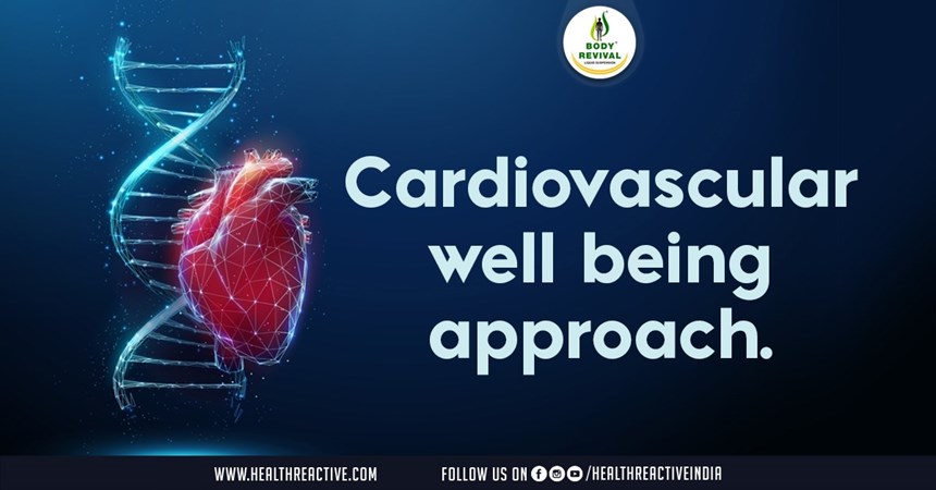 Nurturing the Heart: A Holistic Approach to Cardiovascular Well-Being