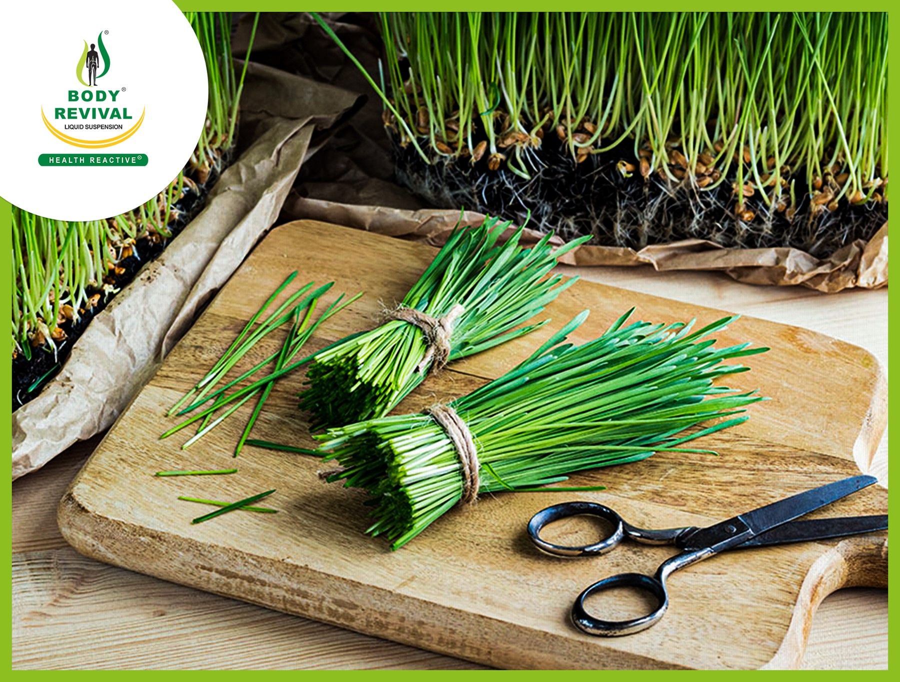 Is Wheatgrass Good for You? Health Reactive Blogs Health Reactive