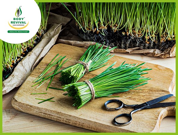 Is Wheatgrass Good for You?