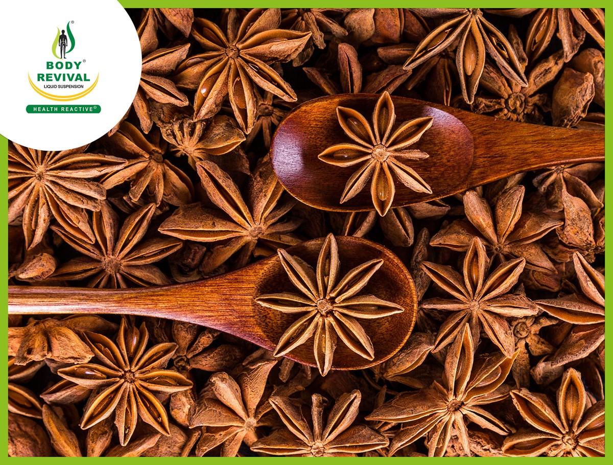 Star Anise Benefits and Nutritional Facts Health Reactive Blogs