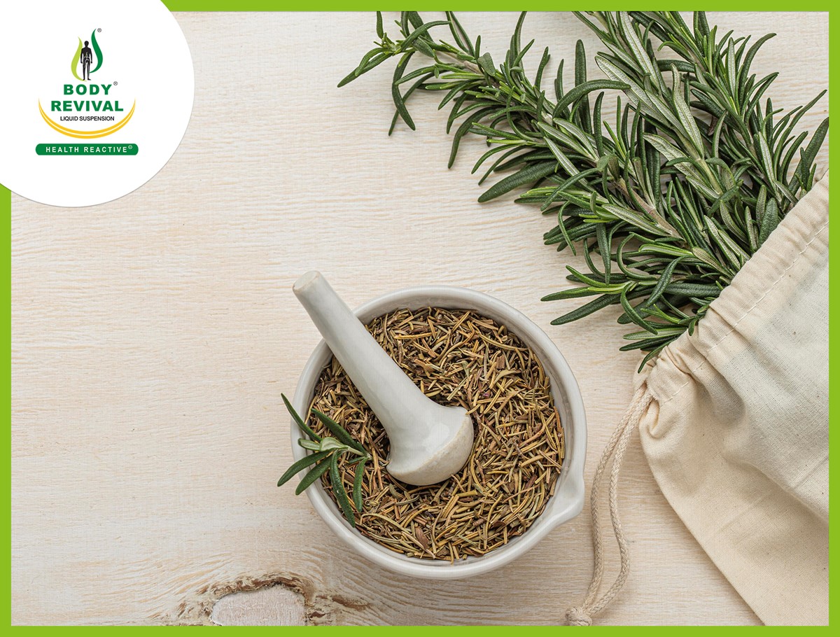 Top 10 Herbs Used In Ayurvedic Medicine For Weight Loss Health